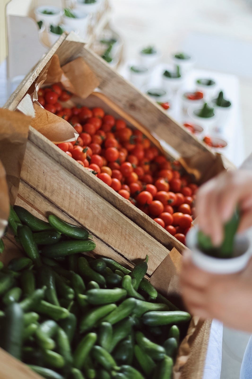 Tomatoes and cucumbers from the farm